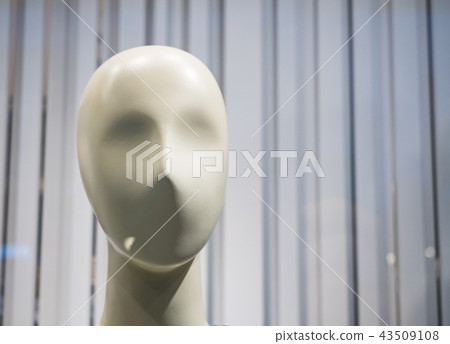 Window model Window model 43509108