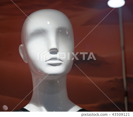 Window model Window model 43509121