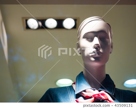 Window model Window model 43509131