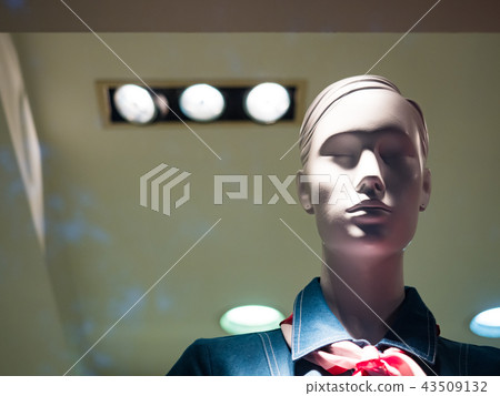 Window model Window model 43509132