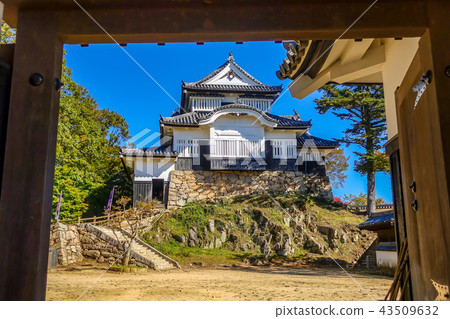 松山城堡城堡塔在秋天 43509632