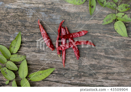 Dried red chilly pepper on wooden panel Dried red chilly pepper on wooden panel 43509904