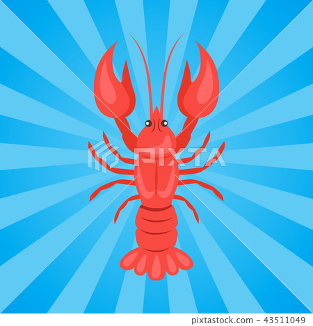 Crawfish or Crawdads, Freshwater Lobster Yabbies 43511049