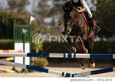 Jockey on her horse leaping over a hurdle 43511653