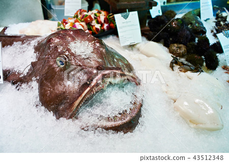Angler fish or monkfish in store 43512348