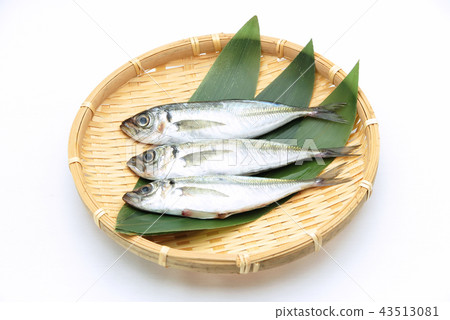 True Aji True Aji 43513081