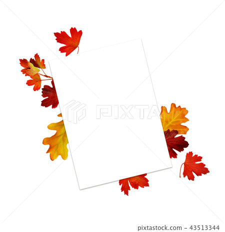 Empty card with autumn leaves Empty card with autumn leaves 43513344