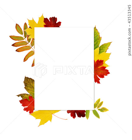 Empty card with autumn colorful leaves Empty card with autumn colorful leaves 43513345