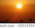 冬天早晨太陽_ 816 冬天早晨太陽_ 816 43513764