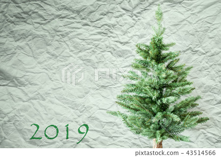 Fir Tree, Paper Background, Text 2019 Fir Tree, Paper Background, Text 2019 43514566