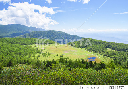 池塘的Hirano濕領域在夏天結束時 43514771