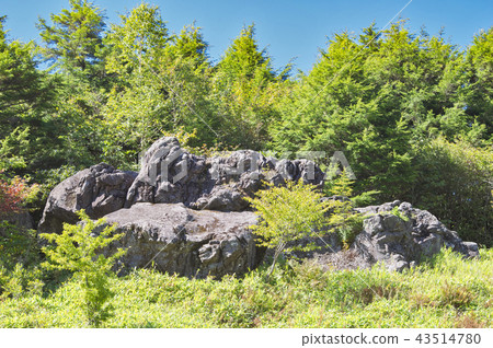 池塘的隱藏的岩石在夏天結束時 43514780