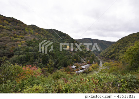 Arashiyama Hozugyo Valley Arashiyama Hozugyo Valley 43515832