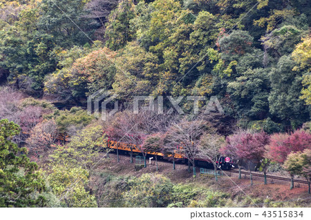 Sagano卡車火車 Sagano卡車火車 43515834