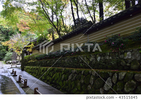 Kyorinji Temple approach Kyorinji Temple approach 43515845