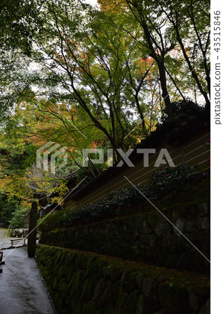 Kyorinji Temple approach Kyorinji Temple approach 43515846