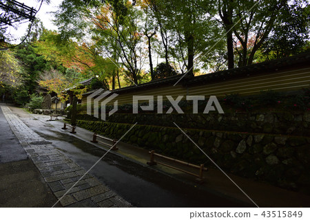 Kyorinji Temple approach 43515849