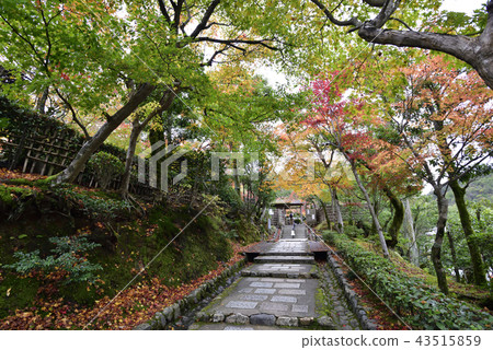 Nanbano Buddha 43515859