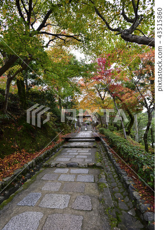 Nanbano Buddha 43515860