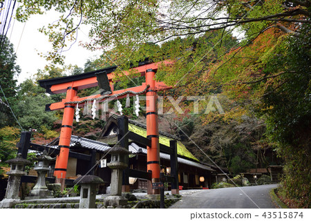 Atago Shrine One Torii Atago Shrine One Torii 43515874