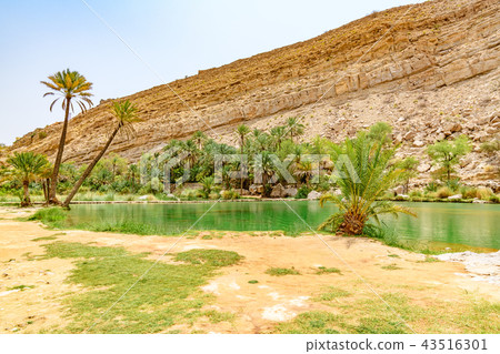 Wadi Bani Carillo(阿曼) Wadi Bani Carillo(阿曼) 43516301