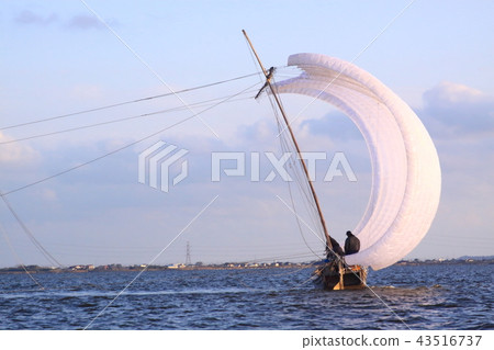 帆船 43516737
