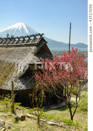 Old houses and Mt. Fuji in the village of Nishiko Ie no Sato Old houses and Mt. Fuji in the village of Nishiko Ie no Sato 43517056