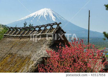 Old houses and Mt. Fuji in the village of Nishiko Ie no Sato 43517058
