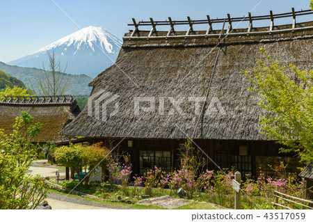 Nishiko Ie no Sato村的老房子和富士山 43517059