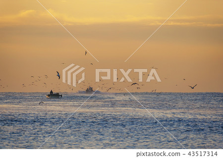 Ulsan, Korea, Ganghang Port, Myeongseon-do 43517314