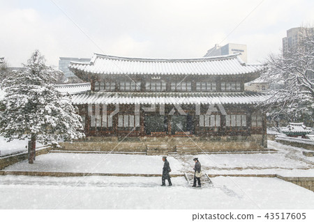 首爾，韓國，老宮，德壽宮 43517605