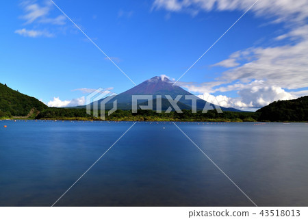Mt Fuji in summer from Lake Shoji Mt Fuji in summer from Lake Shoji 43518013