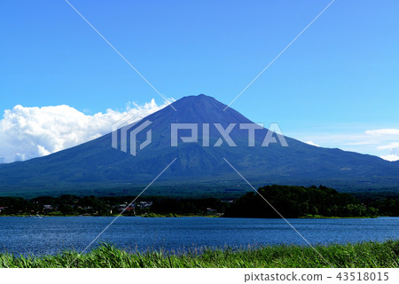 Fuji in the summer from Lake Kawaguchi Fuji in the summer from Lake Kawaguchi 43518015