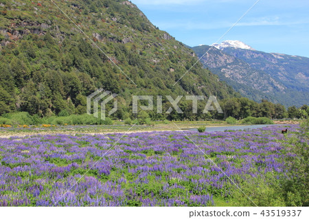 Puerto Chakabuko,智利風景 Puerto Chakabuko,智利風景 43519337