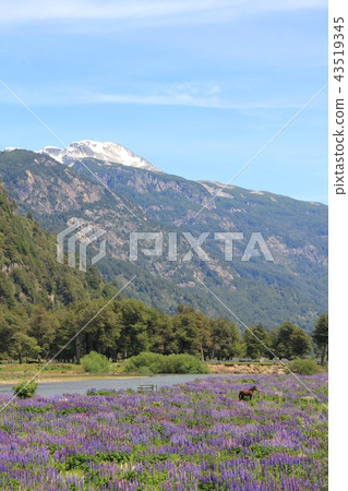 Puerto Chakabuko，智利風景 43519345