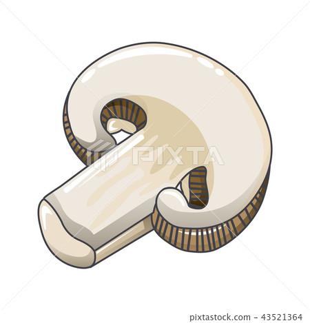 Cutted champignon icon, cartoon style Cutted champignon icon, cartoon style 43521364
