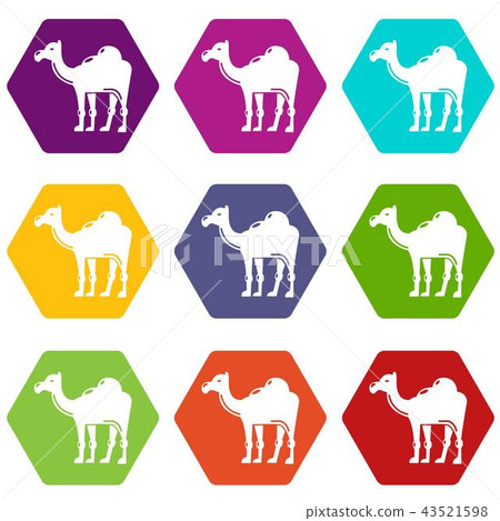 Camel icons set 9 vector 43521598