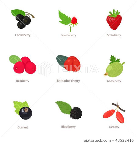 Berry type icons set, isometric style Berry type icons set, isometric style 43522416