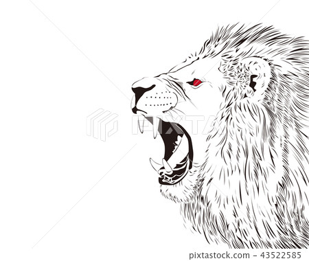 咆哮的獅子 43522585