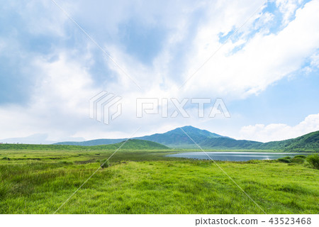 Kusasenrigahama 43523468