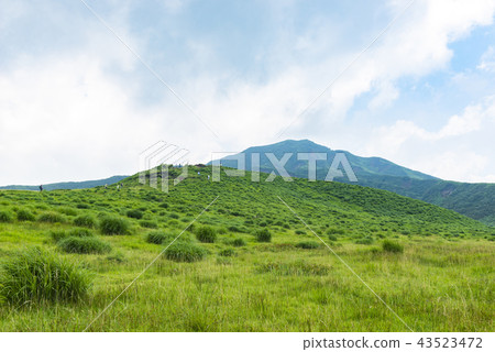 Kusousenigahama Kusousenigahama 43523472