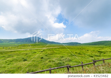 Kusousenigahama 43523482