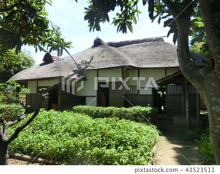 Samurai residence Samurai residence 43523511