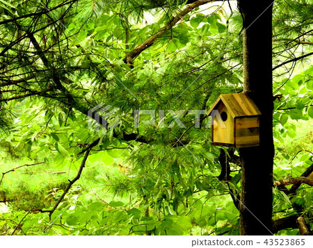 Nest Nest 43523865