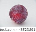 Solar Plum 43523891
