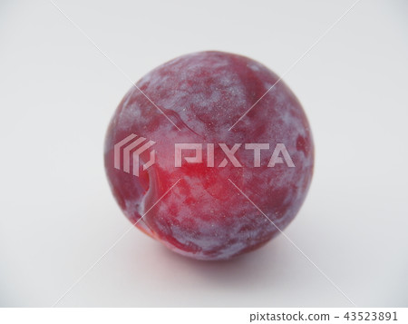 Solar Plum 43523891
