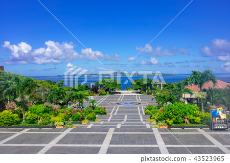 沖繩海洋博覽公園的海景 43523965