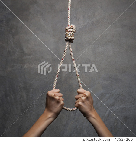 Hands holding rope slipknot in concept suicide Hands holding rope slipknot in concept suicide 43524269