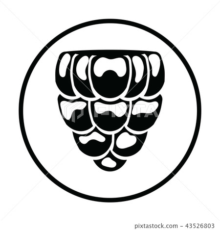 Icon of Raspberry 43526803