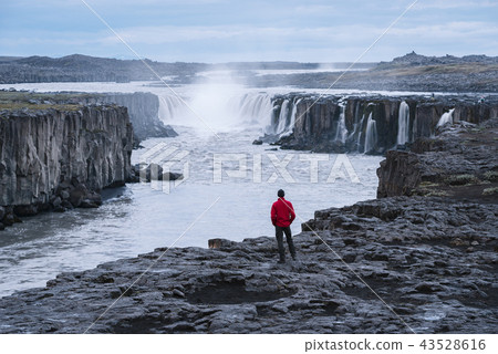 Tourist in a red jacket looks at the Selfoss waterfall Tourist in a red jacket looks at the Selfoss waterfall 43528616